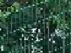 <b>武漢道路護欄?的種類有哪些？</b>