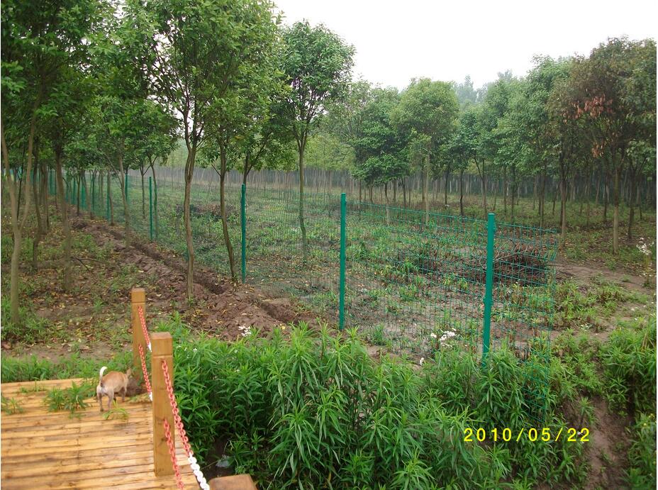 1530838187447864.jpg 1530838187447864.jpg