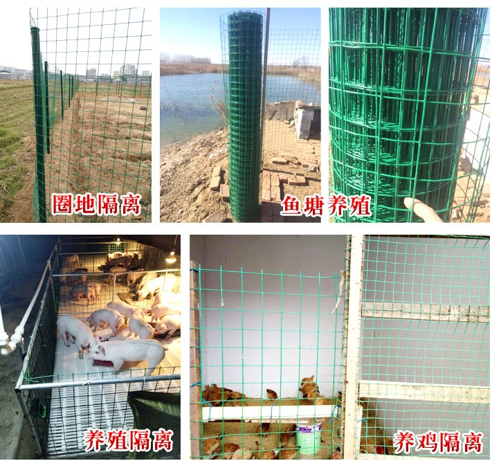 1530838258495710.png 1530838258495710.png